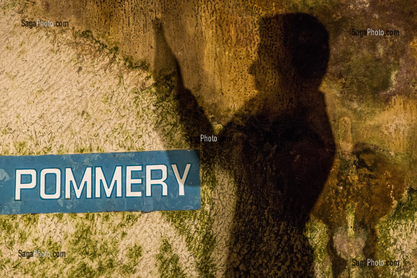 ILLUSTRATION VIN, FRANCE 