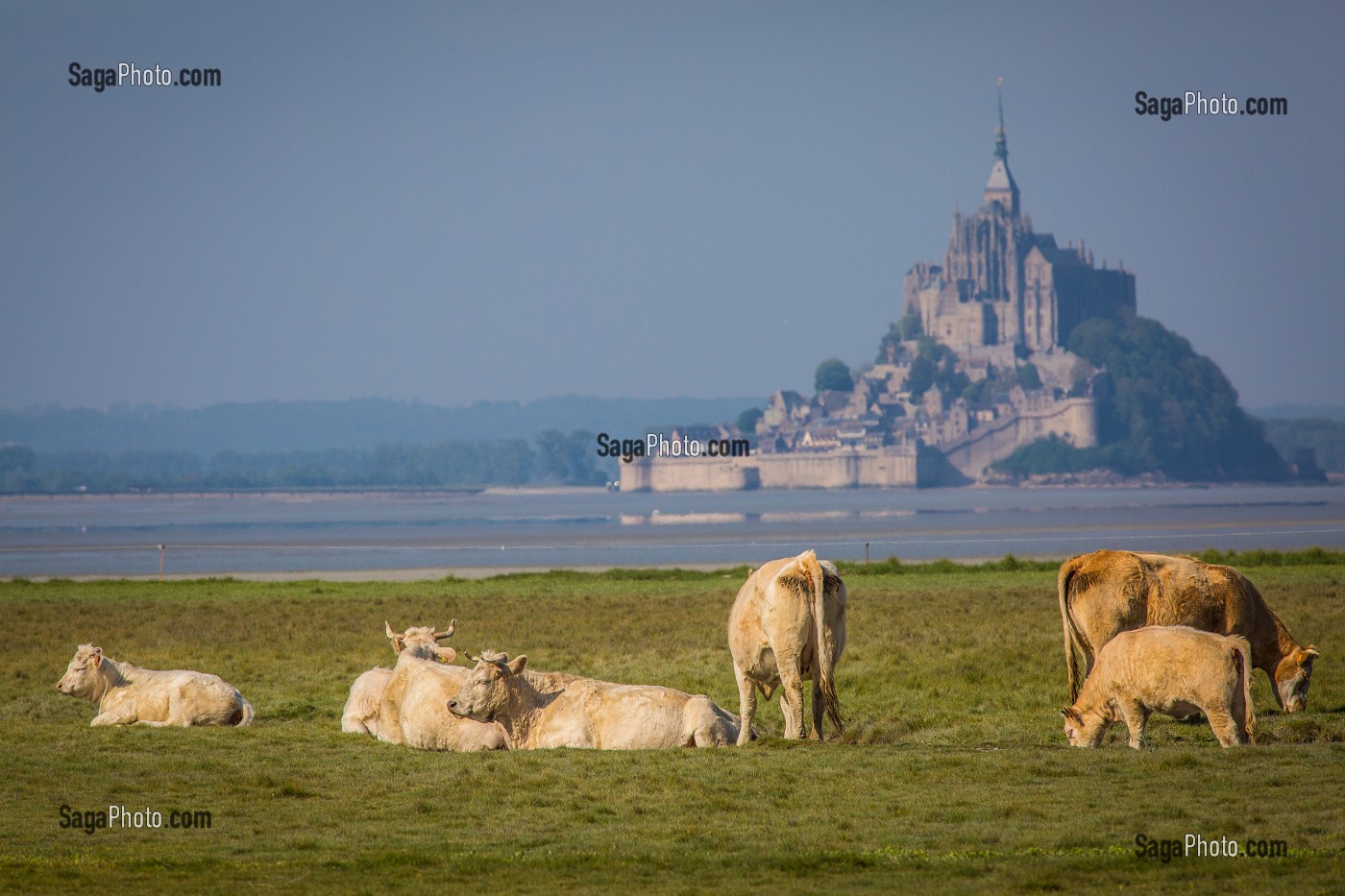 MONT SAINT MICHEL, (50) MANCHE, BASSE NORMANDIE, FRANCE 