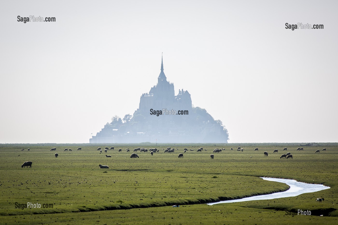 MONT SAINT MICHEL, (50) MANCHE, BASSE NORMANDIE, FRANCE 