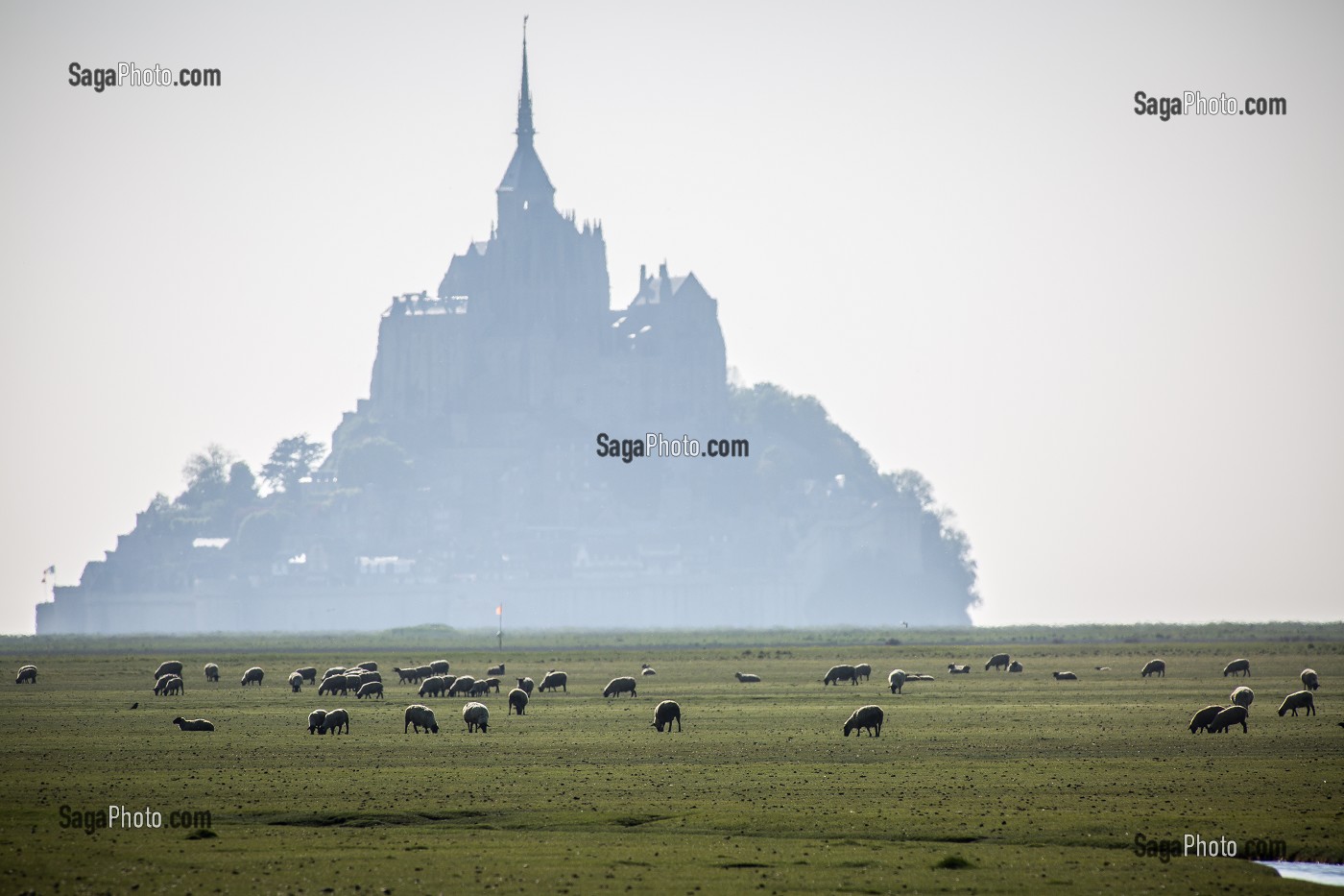 MONT SAINT MICHEL, (50) MANCHE, BASSE NORMANDIE, FRANCE 