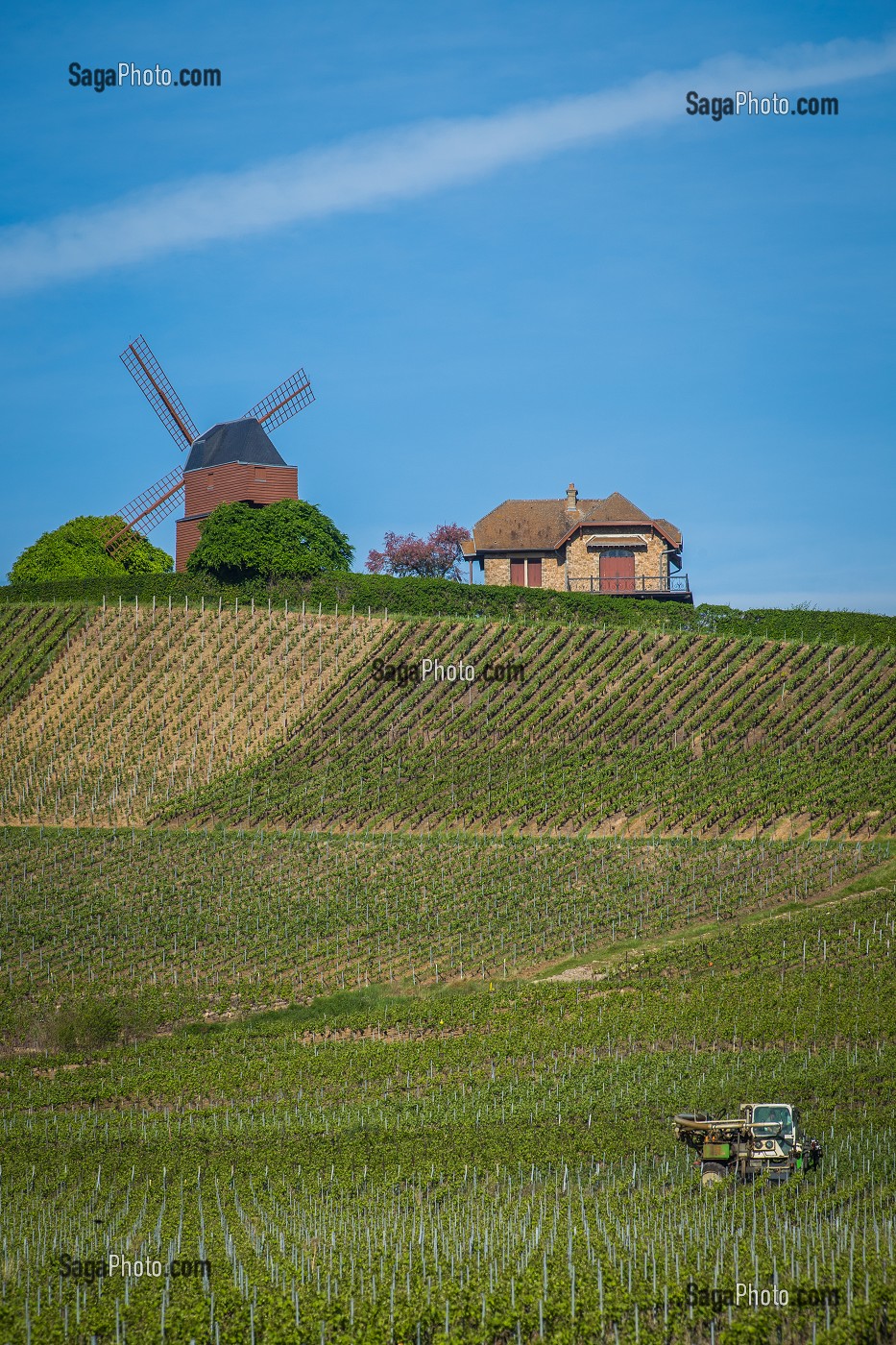 LE CHAMPAGNE, (51) MARNE, REGION GRAND EST, FRANCE 