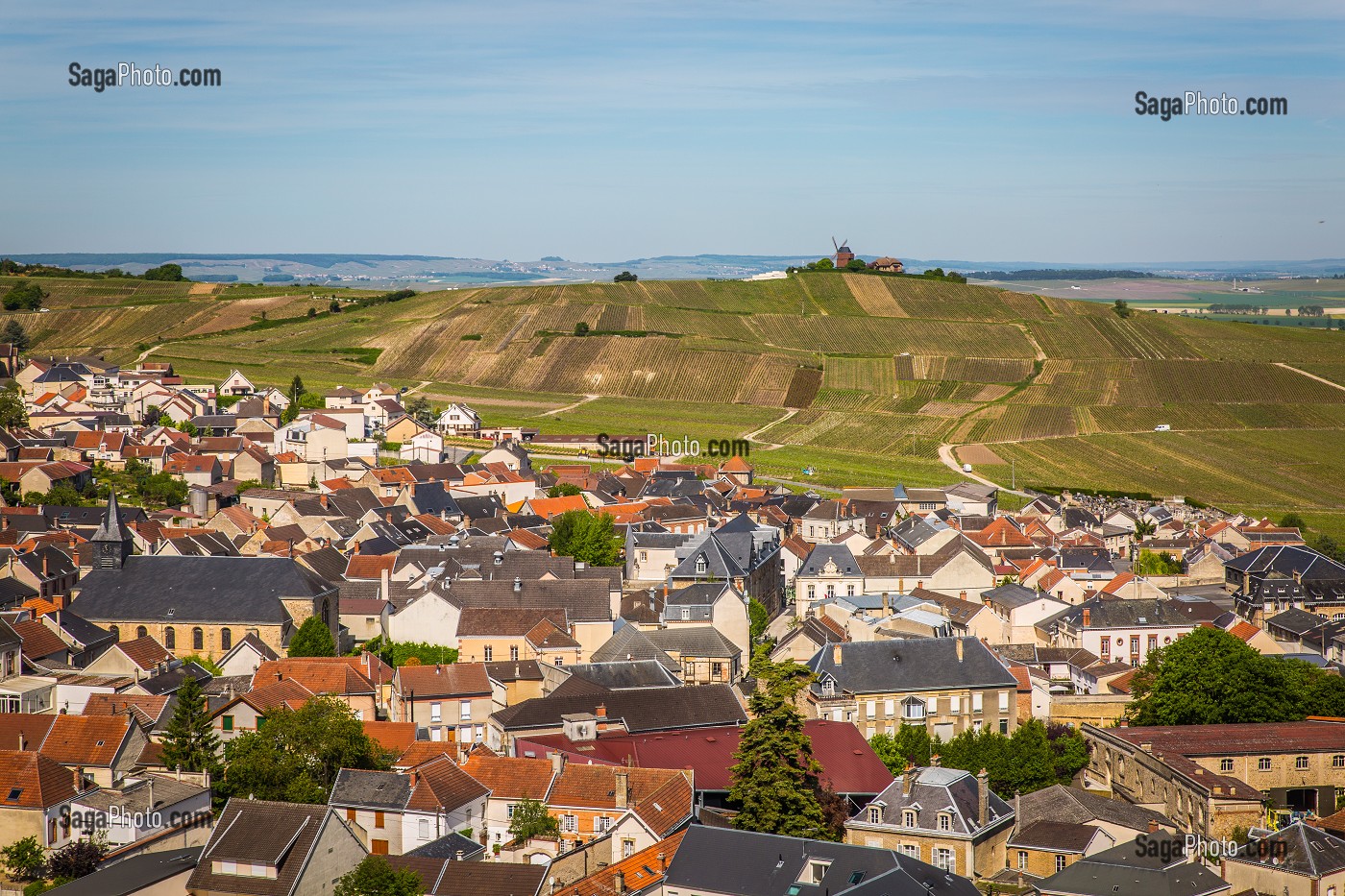 LE CHAMPAGNE, (51) MARNE, REGION GRAND EST, FRANCE 