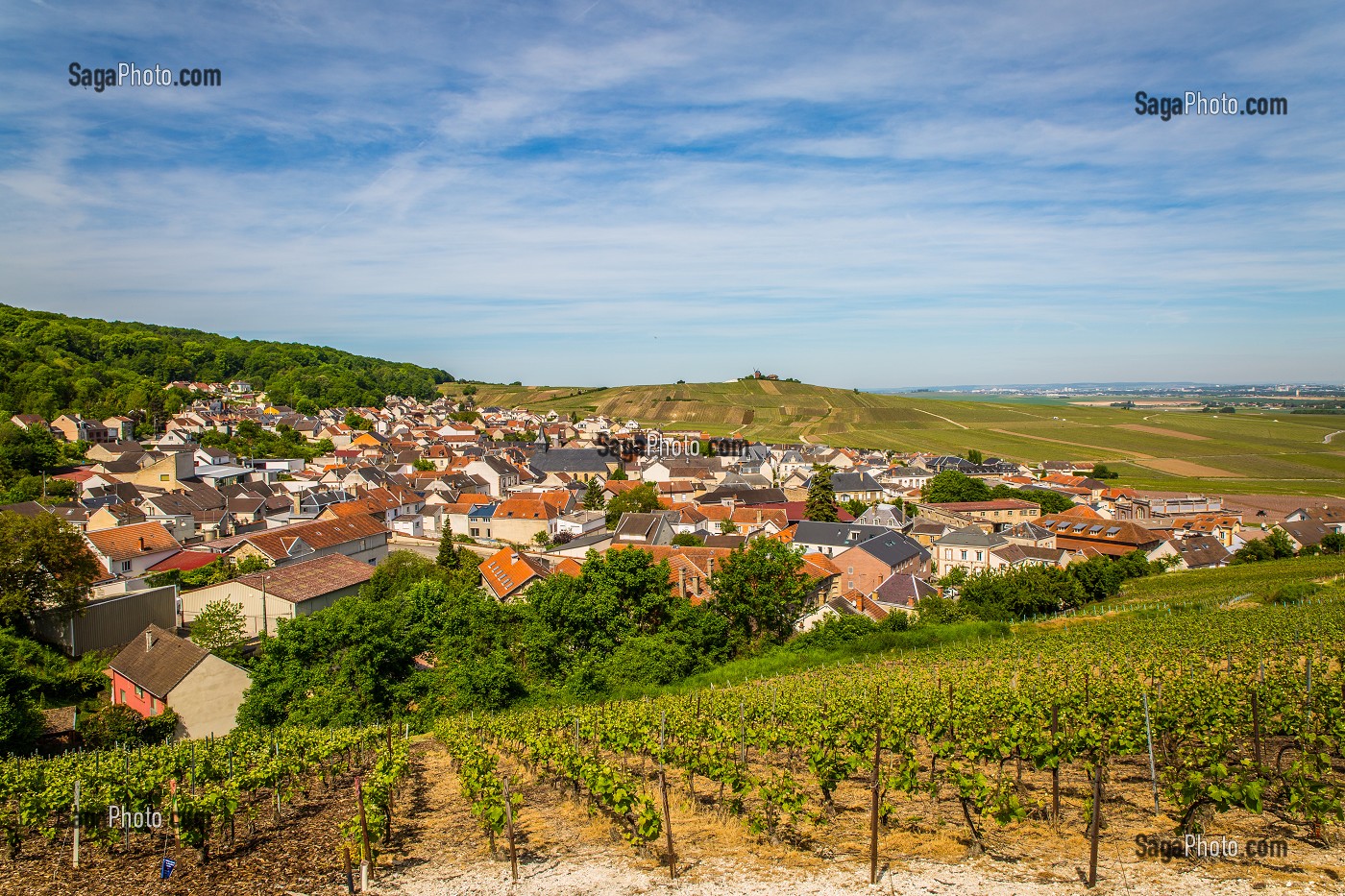 LE CHAMPAGNE, (51) MARNE, REGION GRAND EST, FRANCE 