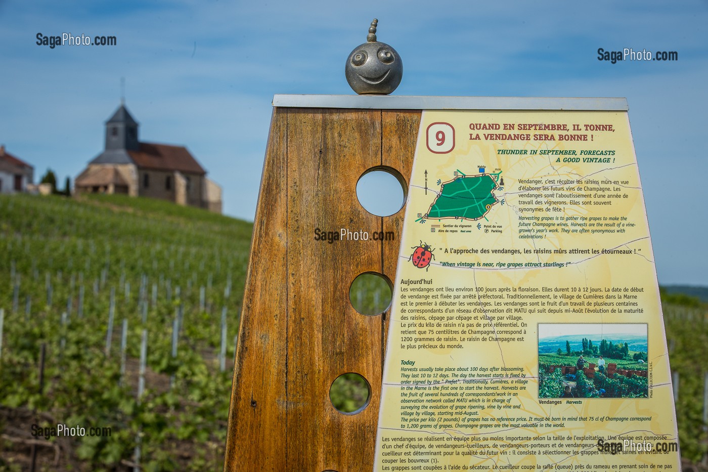 LE CHAMPAGNE, (51) MARNE, REGION GRAND EST, FRANCE 