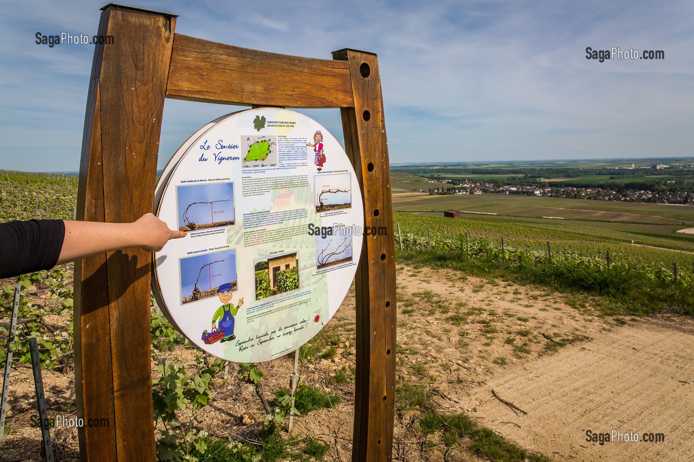 LE CHAMPAGNE, (51) MARNE, REGION GRAND EST, FRANCE 