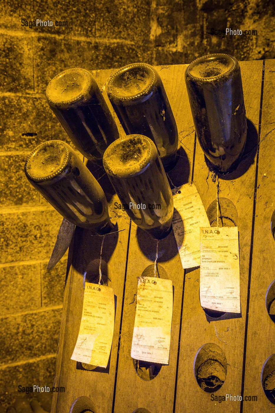 LE CHAMPAGNE, (51) MARNE, REGION GRAND EST, FRANCE 