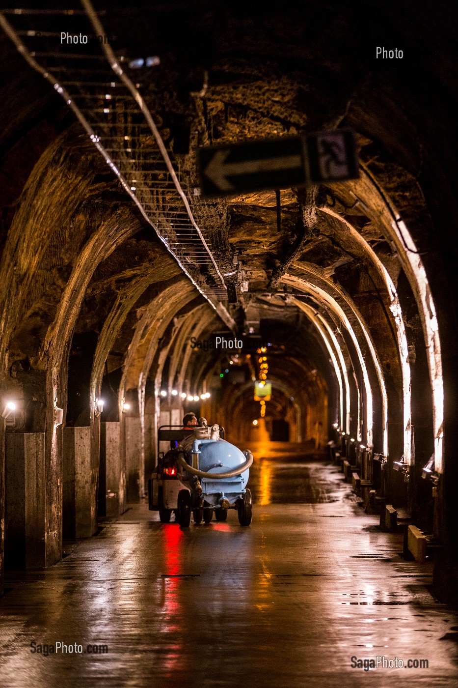 LE CHAMPAGNE, (51) MARNE, REGION GRAND EST, FRANCE 