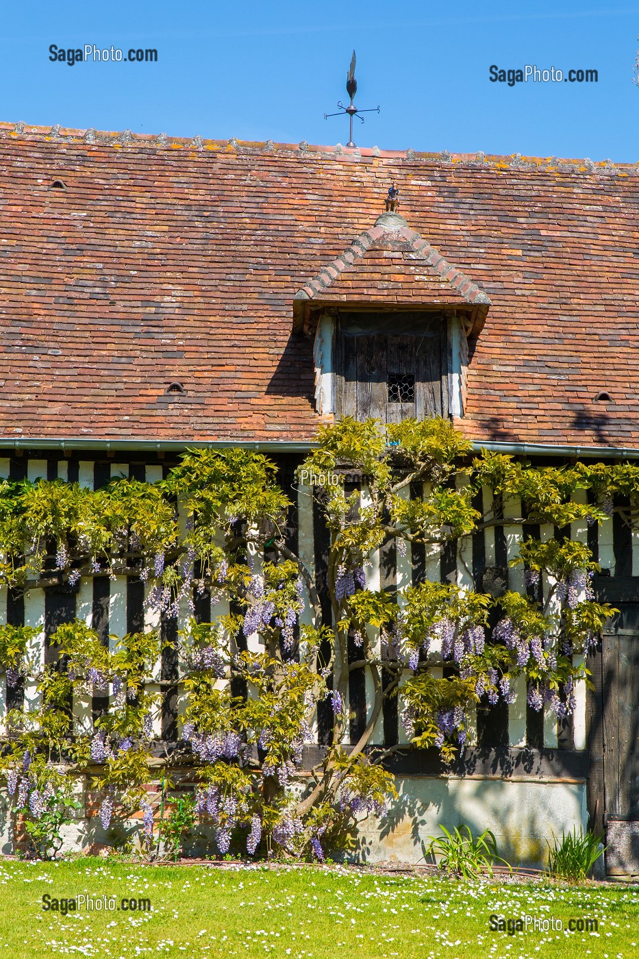 ILLUSTRATION NORMANDIE, BEUVRON EN AUGE, (14) CALVADOS, NORMANDIE, FRANCE