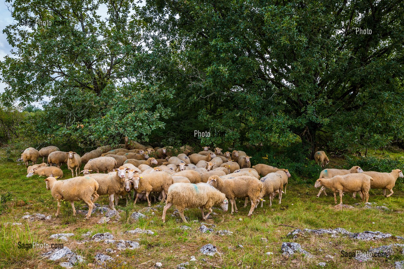 LE LOT (46), OCCITANIE, FRANCE 