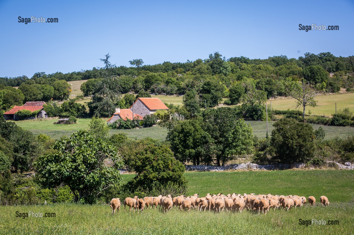 LE LOT (46), OCCITANIE, FRANCE 