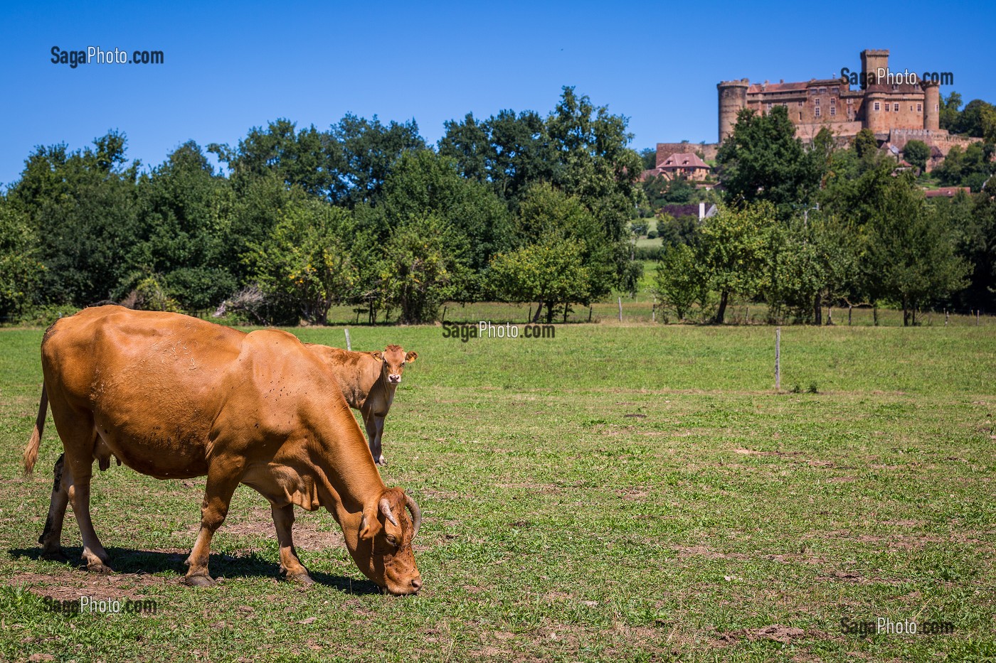 LE LOT (46), OCCITANIE, FRANCE 
