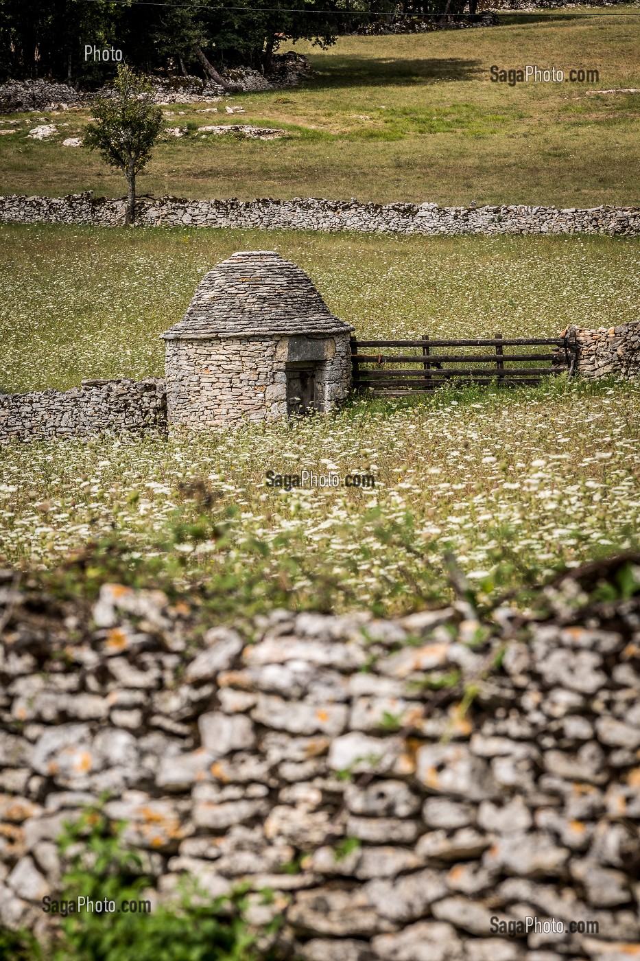 LE LOT (46), OCCITANIE, FRANCE 