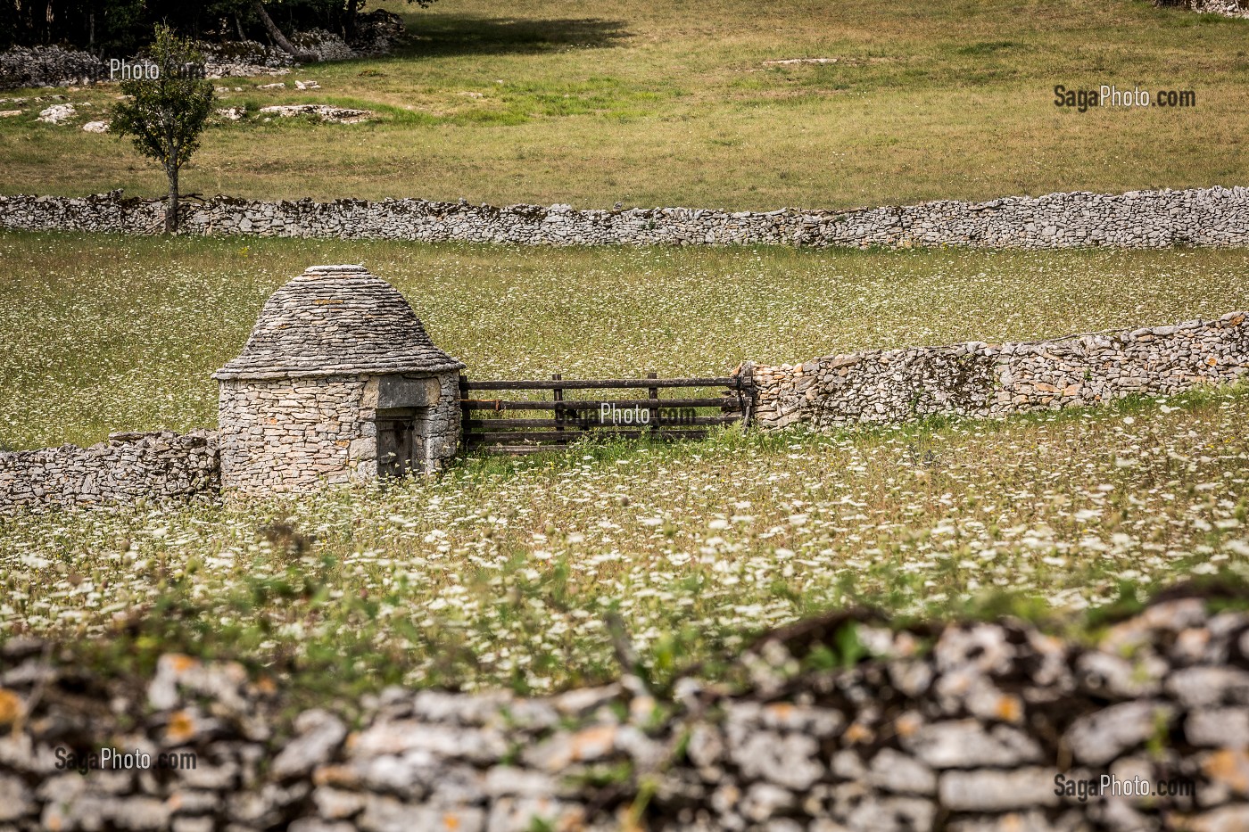 LE LOT (46), OCCITANIE, FRANCE 