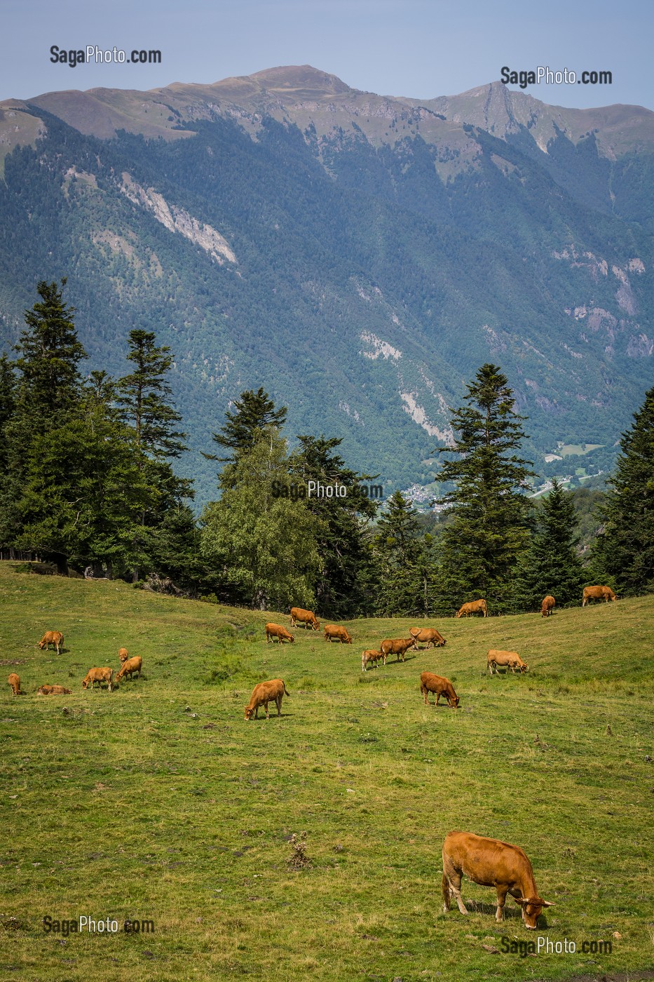 BAGNERES DE LUCHON, OCCITANIE, FRANCE 