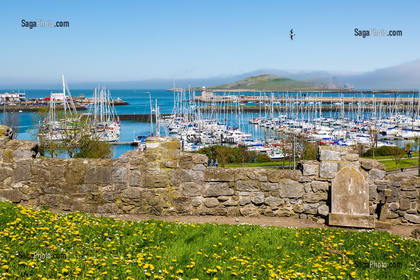 DUBLIN, VOYAGE EN CAPITALE, IRLANDE 