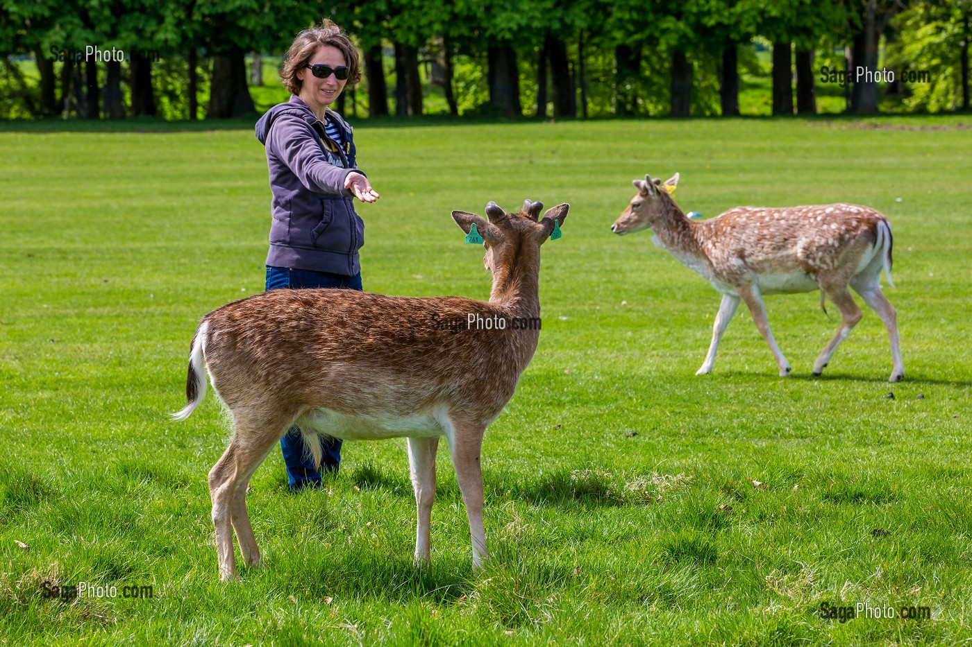 DUBLIN, VOYAGE EN CAPITALE, IRLANDE 