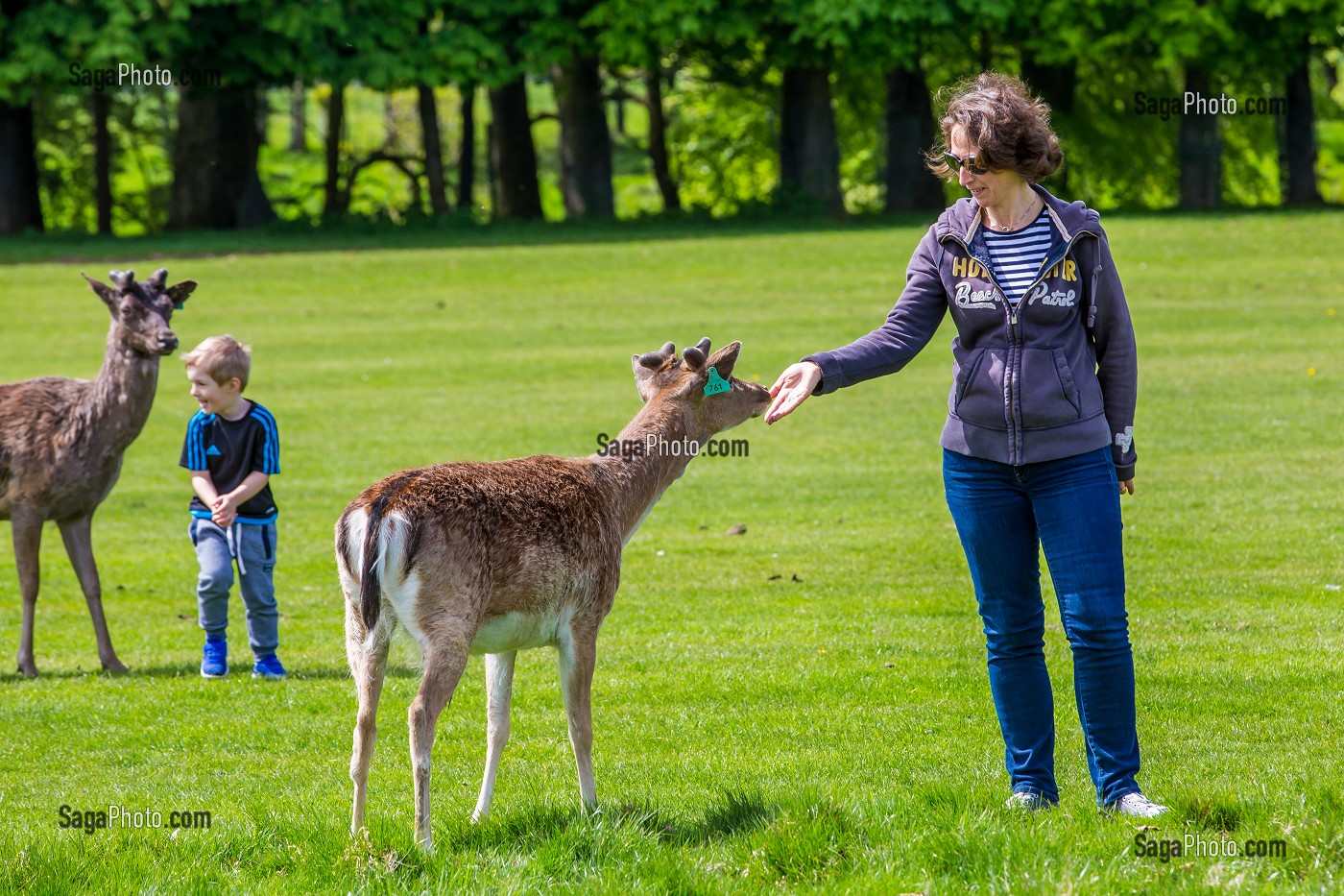 DUBLIN, VOYAGE EN CAPITALE, IRLANDE 