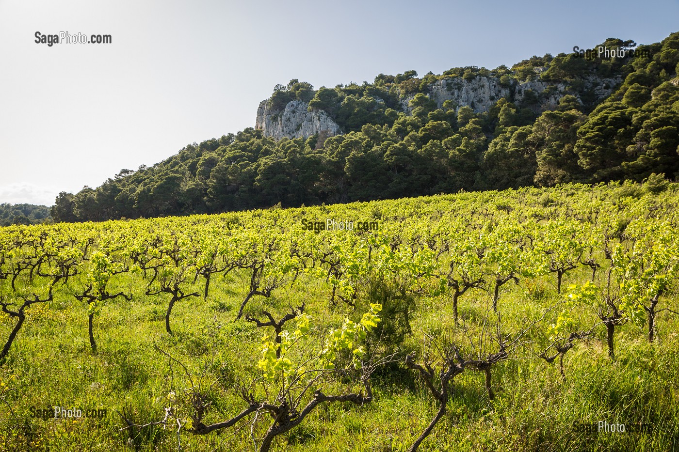 DECOUVERTE DE GRUISSAN, FRANCE 