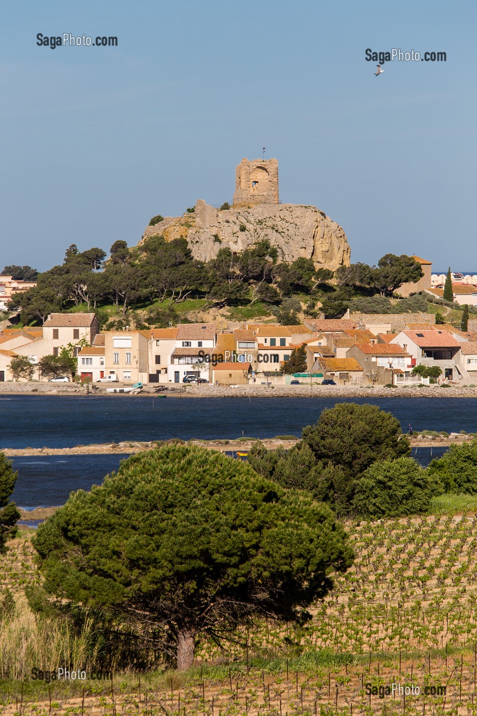 DECOUVERTE DE GRUISSAN, FRANCE 