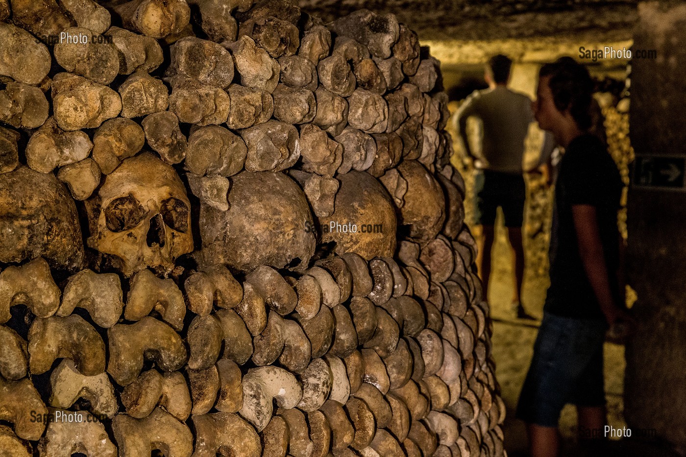 CRANES ET OSSEMENTS DANS LES CATACOMBES DE PARIS, 14E ARRONDISSEMENT, PARIS (75) 