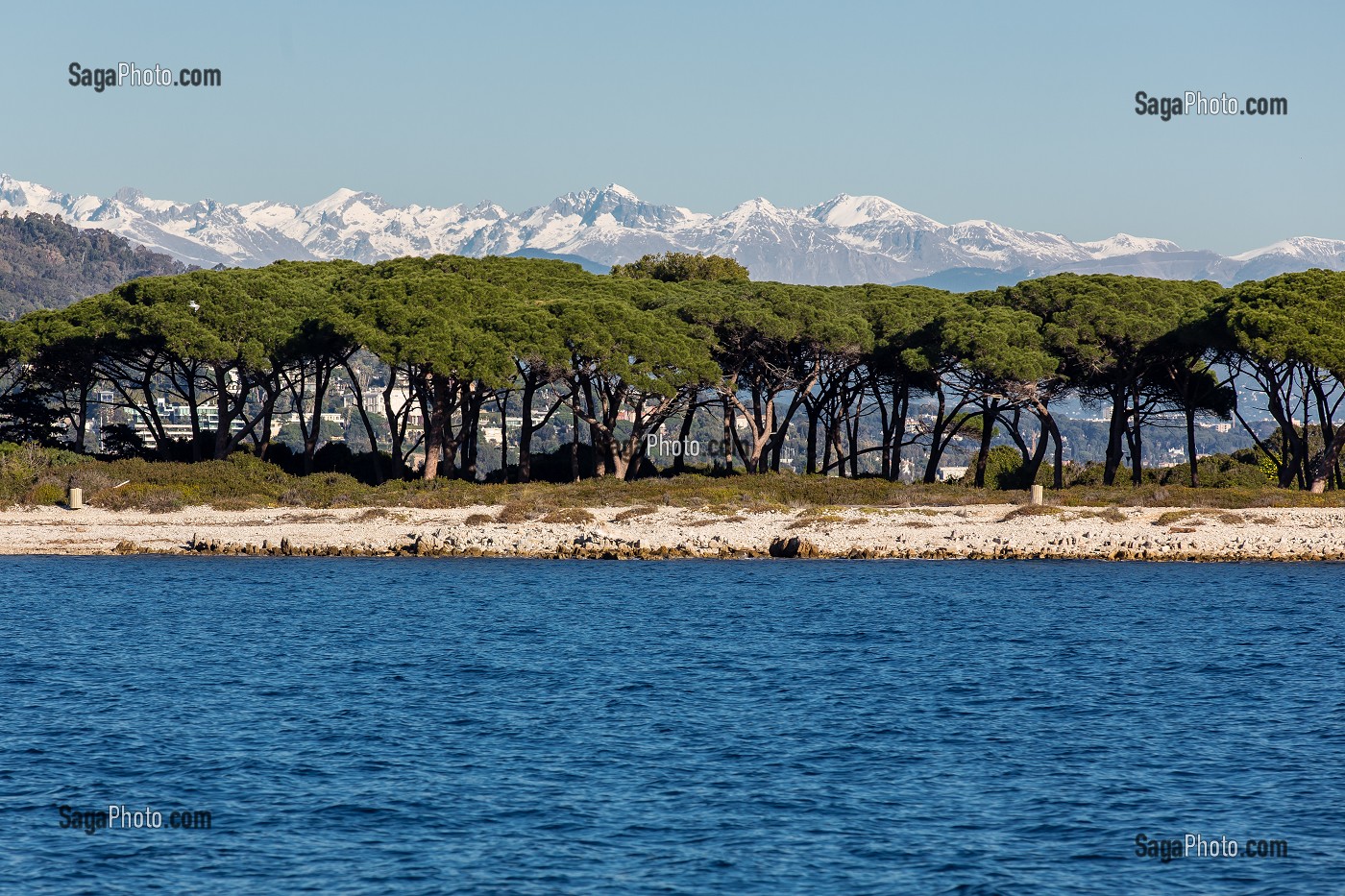 ILES DU LERINS, ILE SAINTE MARGUERITE ET ALPES, (06) ALPES MARITIMES, REGION SUD 