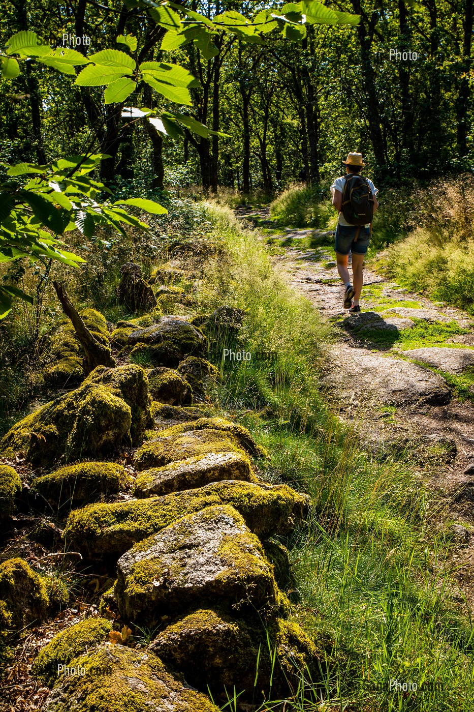 PIERRES JAUNATRES, SITE NATUREL, AMONCELLEMENT D’UNE QUARANTAINE DE SURPRENANTS BLOCS DE GRANIT, SITE CLASSE, UNE DES PROMENADES FAVORITES DE GEORGE SAND EN COMPAGNIE DE CHOPIN, (23) CREUSE, NOUVELLE AQUITAINE, FRANCE 