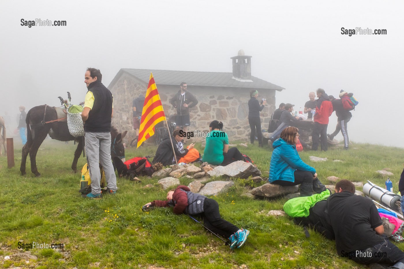 TROUBADE OU TROBADA, TRADITION CATALANE, ASCENSION A PIED DU PIC DU CANIGOU POUR DEPOSER UN FAGOT DE SARMENTS DE VIGNE (66) PYRENEES-ORIENTALES, LANGUEDOC-ROUSSILLON, OCCITANIE 