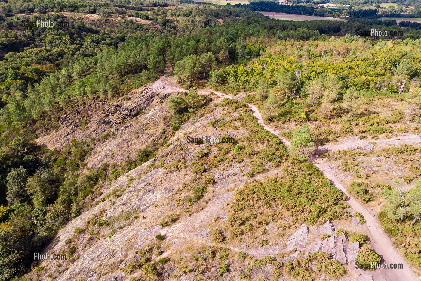 VAL SANS RETOUR, FORET DE BROCELIANDE, LIEU LEGENDAIRE, CONNU COMME LE DOMAINE DE LA FEE MORGANE, DEMI-SOEUR DU ROI ARTHUR, ELLE CONNAIT LA MAGIE DE MERLIN, TREHORENTEUC (35), BRETAGNE, FRANCE 