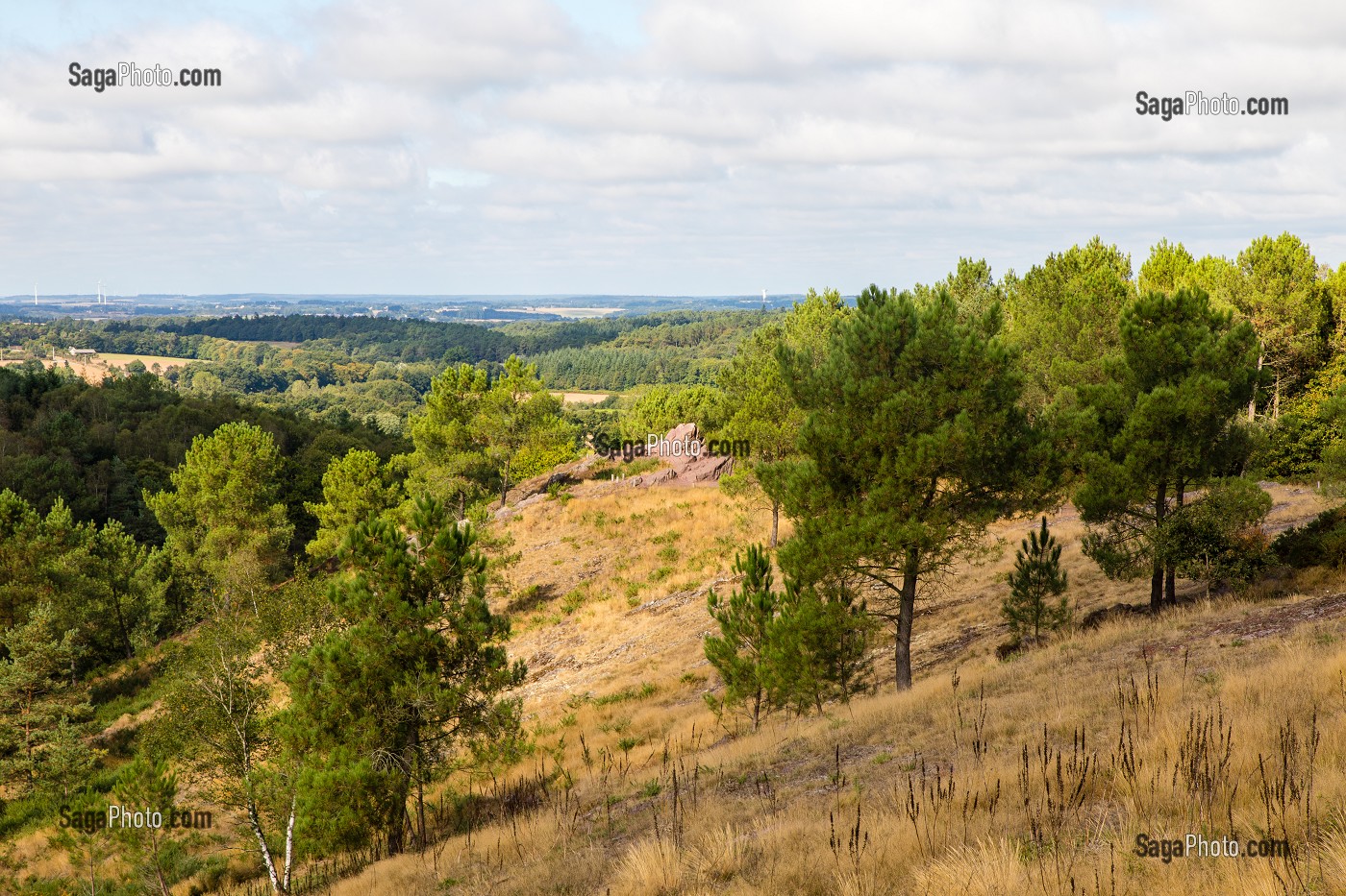 VAL SANS RETOUR, FORET DE BROCELIANDE, LIEU LEGENDAIRE, CONNU COMME LE DOMAINE DE LA FEE MORGANE, DEMI-SOEUR DU ROI ARTHUR, ELLE CONNAIT LA MAGIE DE MERLIN, TREHORENTEUC (35), BRETAGNE, FRANCE 