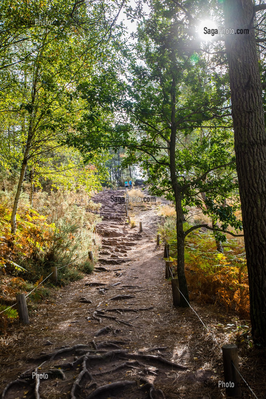 VAL SANS RETOUR, FORET DE BROCELIANDE, LIEU LEGENDAIRE, CONNU COMME LE DOMAINE DE LA FEE MORGANE, DEMI-SOEUR DU ROI ARTHUR, ELLE CONNAIT LA MAGIE DE MERLIN, TREHORENTEUC (35), BRETAGNE, FRANCE 