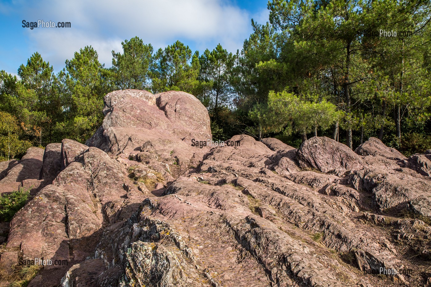 VAL SANS RETOUR, FORET DE BROCELIANDE, LIEU LEGENDAIRE, CONNU COMME LE DOMAINE DE LA FEE MORGANE, DEMI-SOEUR DU ROI ARTHUR, ELLE CONNAIT LA MAGIE DE MERLIN, TREHORENTEUC (35), BRETAGNE, FRANCE 