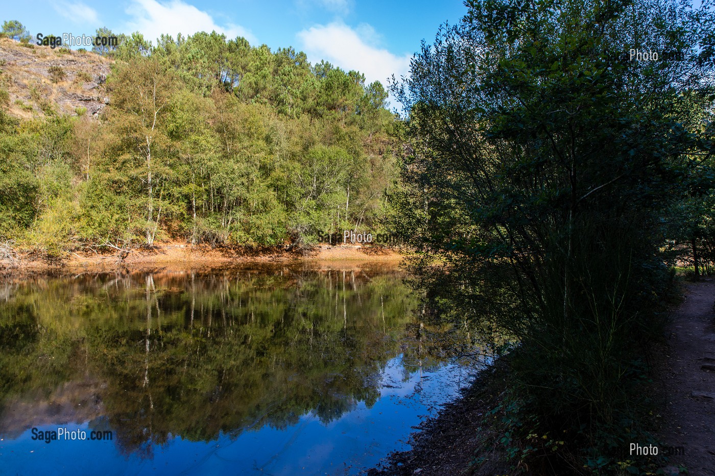 VAL SANS RETOUR, FORET DE BROCELIANDE, LIEU LEGENDAIRE, CONNU COMME LE DOMAINE DE LA FEE MORGANE, PAIMPONT, BRETAGNE, FRANCE 