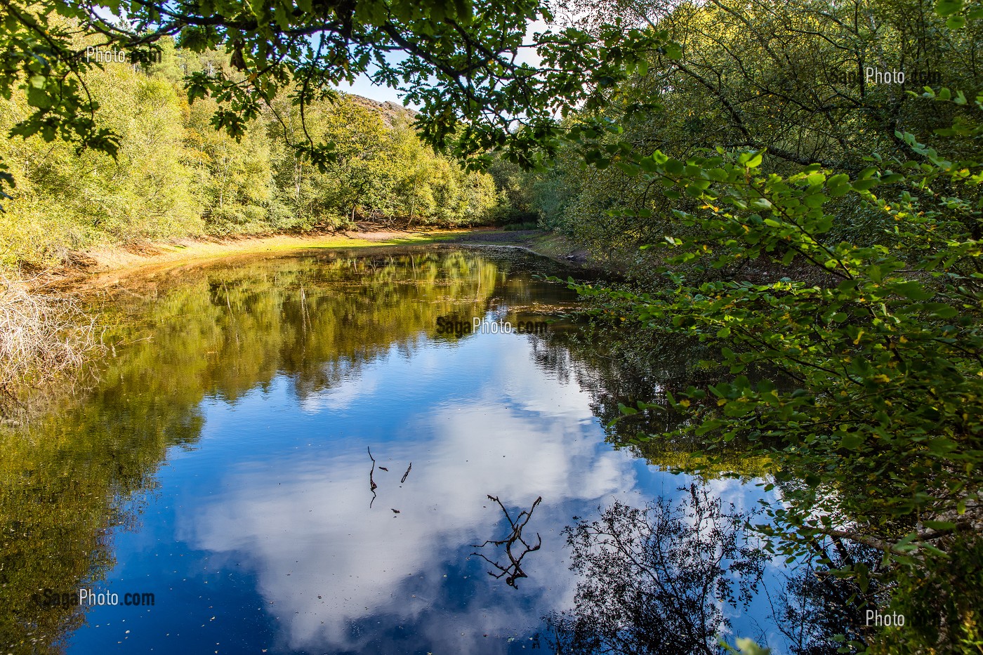 VAL SANS RETOUR, FORET DE BROCELIANDE, LIEU LEGENDAIRE, CONNU COMME LE DOMAINE DE LA FEE MORGANE, PAIMPONT, BRETAGNE, FRANCE 