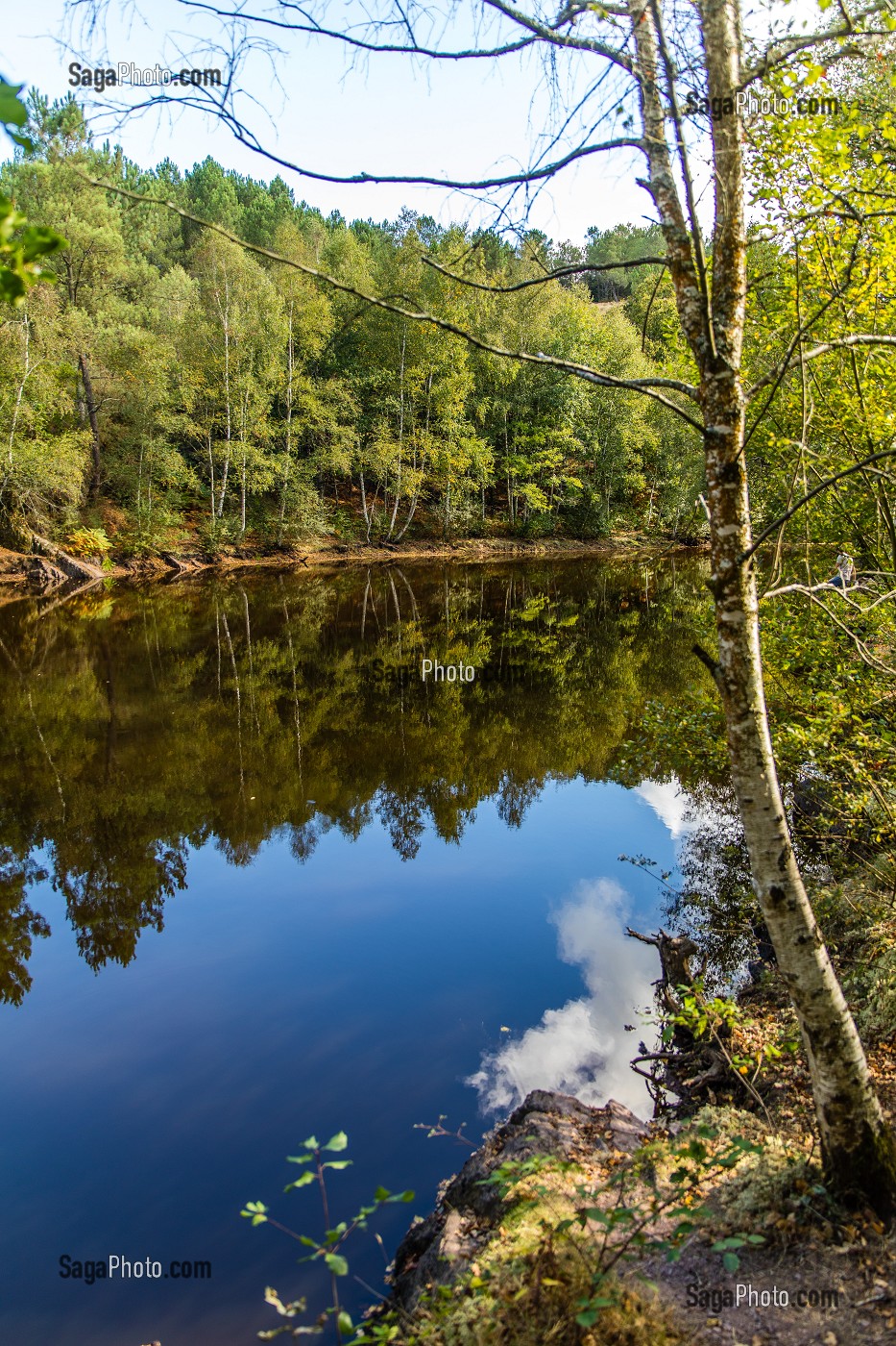 ETANG DU MIROIR AUX FEES, VAL SANS RETOUR, FORET DE BROCELIANDE, LIEU LEGENDAIRE, CONNU COMME LE DOMAINE DE LA FEE MORGANE, BRETAGNE, FRANCE 