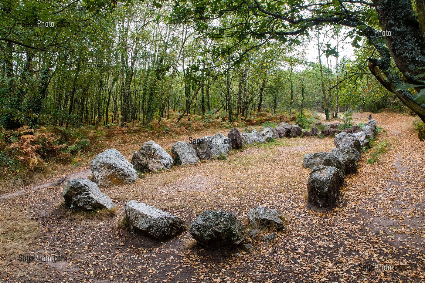 JARDIN AUX MOINES, MONUMENT MEGALITHIQUE DONT LA FONCTION RESTE ENCORE OBSCURE, NEANT SUR YVEL (35), BRETAGNE, FRANCE 