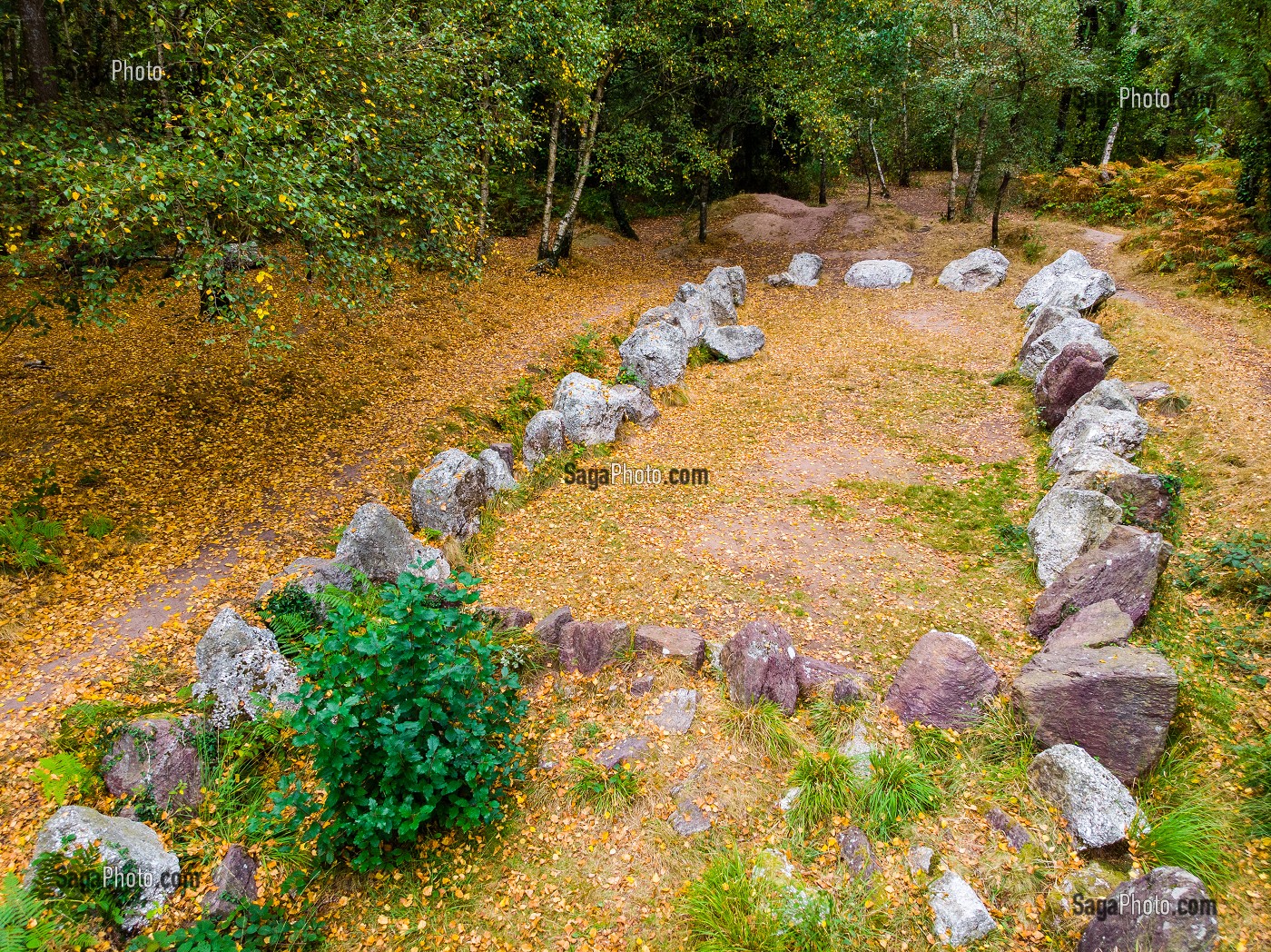 JARDIN AUX MOINES, MONUMENT MEGALITHIQUE DONT LA FONCTION RESTE ENCORE OBSCURE, NEANT SUR YVEL (35), BRETAGNE, FRANCE 