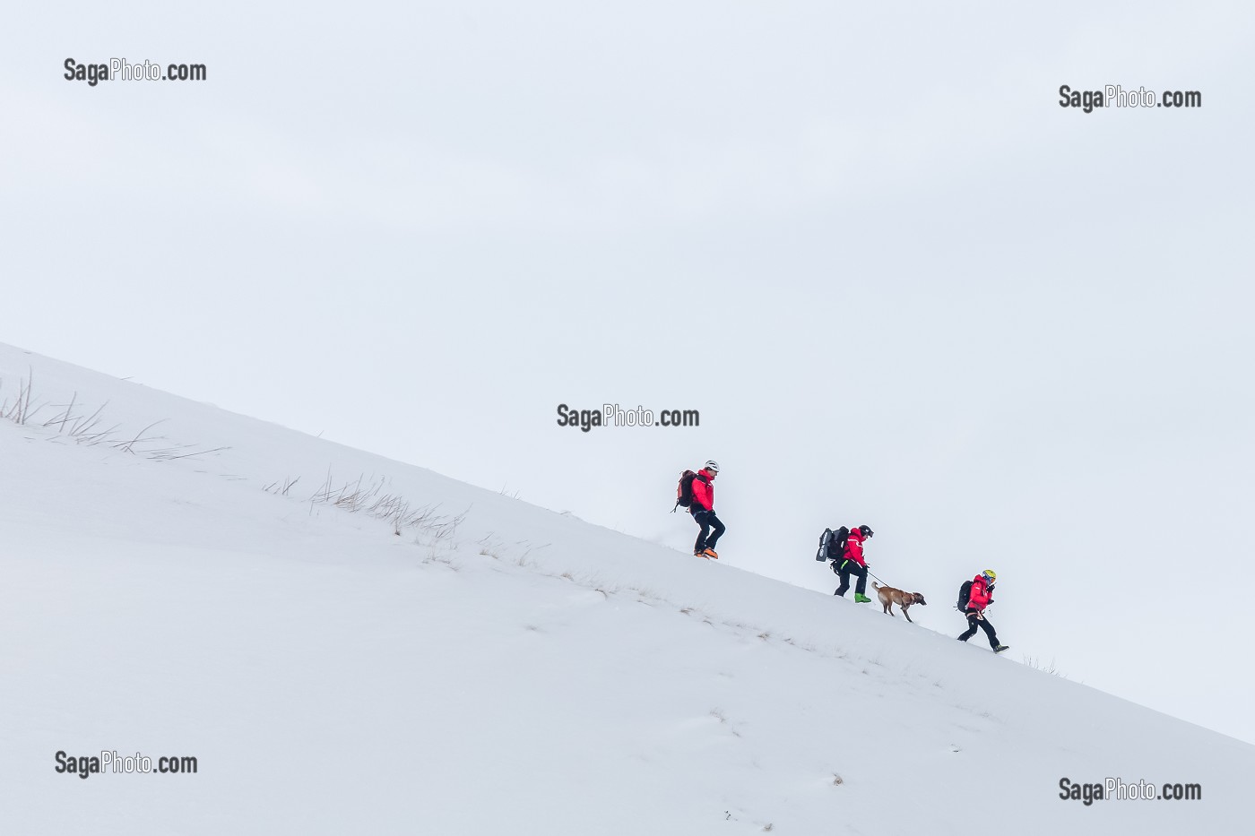 CARAVANE TERRESTRE DE SAUVETEURS, EXERCICE NATIONAL SAPEURS-POMPIERS DE SECOURS EN AVALANCHE, COL DU LAUTARET, HAUTES ALPES (05) 