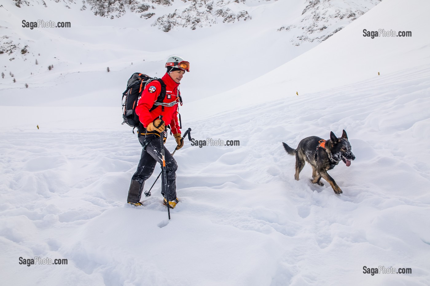 BINOME MAITRE-CHIEN D'AVALANCHE DE RECHERCHE DE VICTIME DANS UNE AVALANCHE, EXERCICE NATIONAL SAPEURS-POMPIERS DE SECOURS EN AVALANCHE, COL DU LAUTARET, HAUTES ALPES (05) 