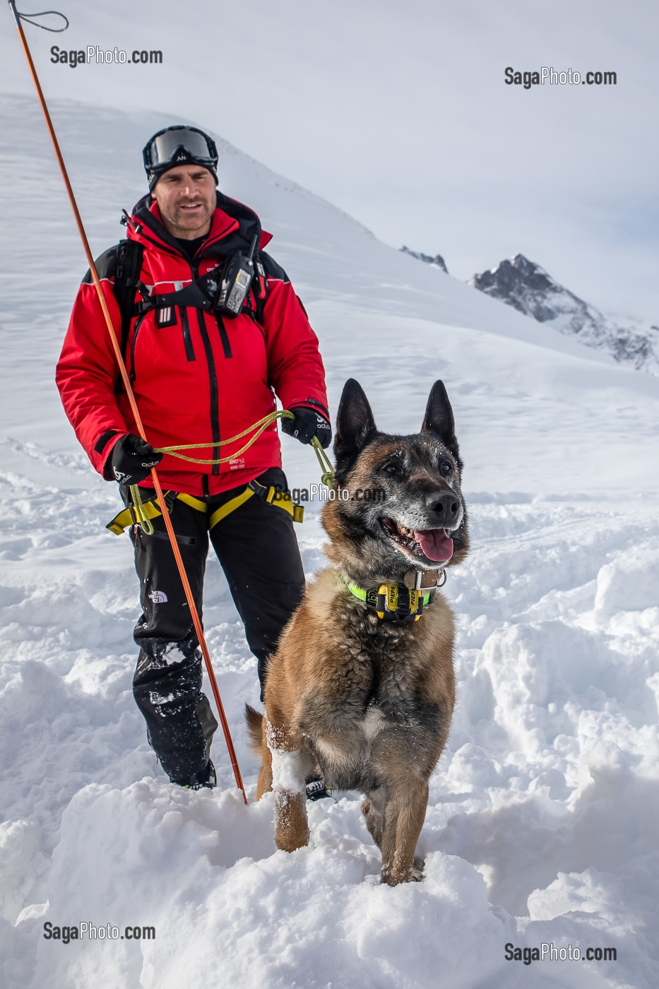 BINOME MAITRE-CHIEN D'AVALANCHE DE RECHERCHE DE VICTIME DANS UNE AVALANCHE, EXERCICE NATIONAL SAPEURS-POMPIERS DE SECOURS EN AVALANCHE, COL DU LAUTARET, HAUTES ALPES (05) 