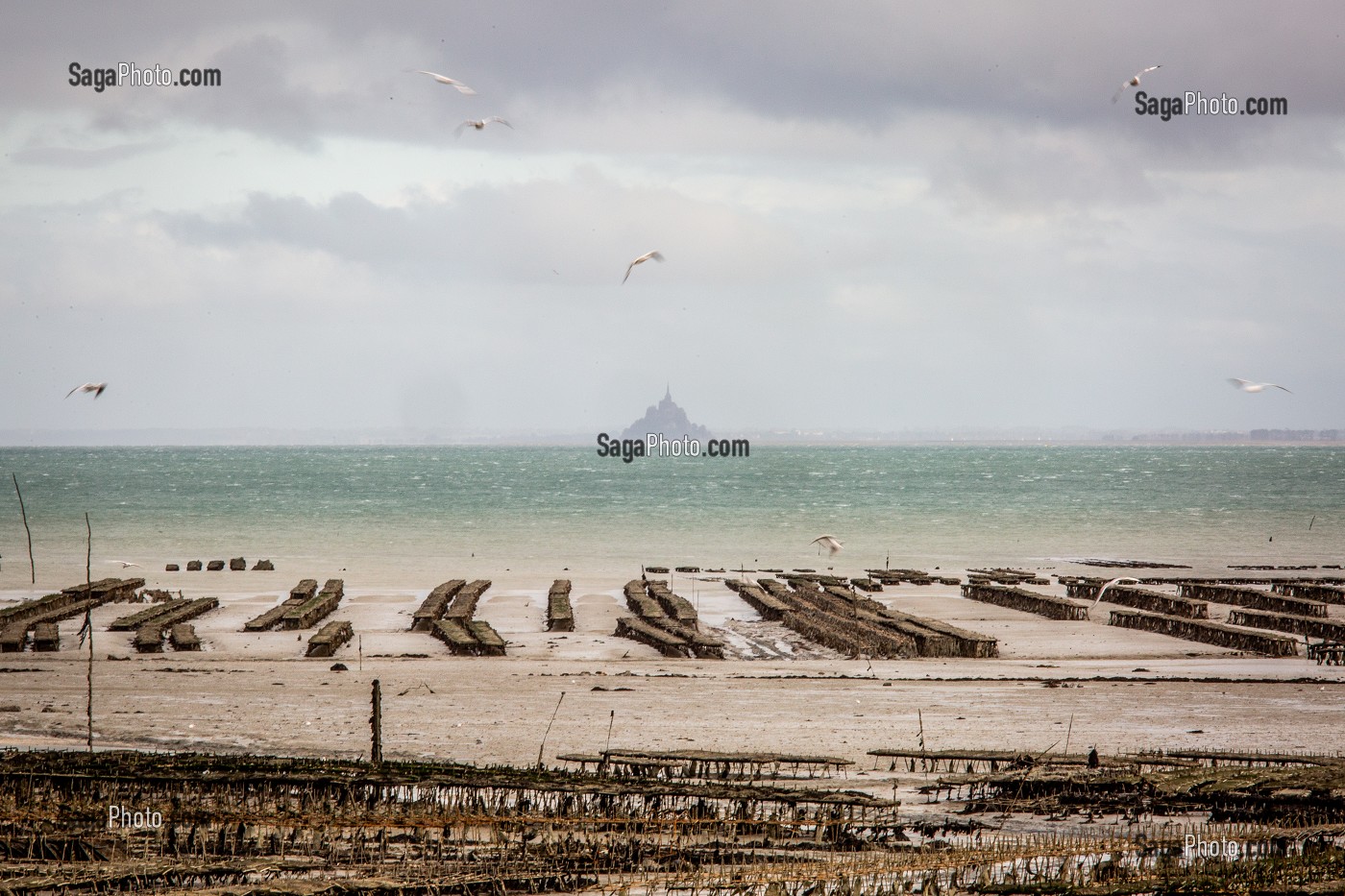 PARCS A HUITRES, CANCALE, ILLE-ET-VILAINE 