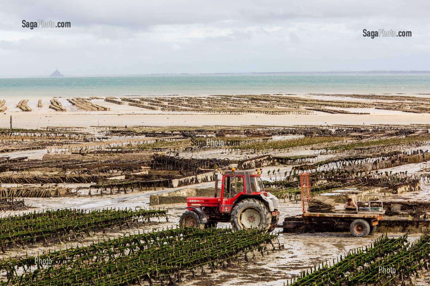 PARCS A HUITRES, CANCALE, ILLE-ET-VILAINE 