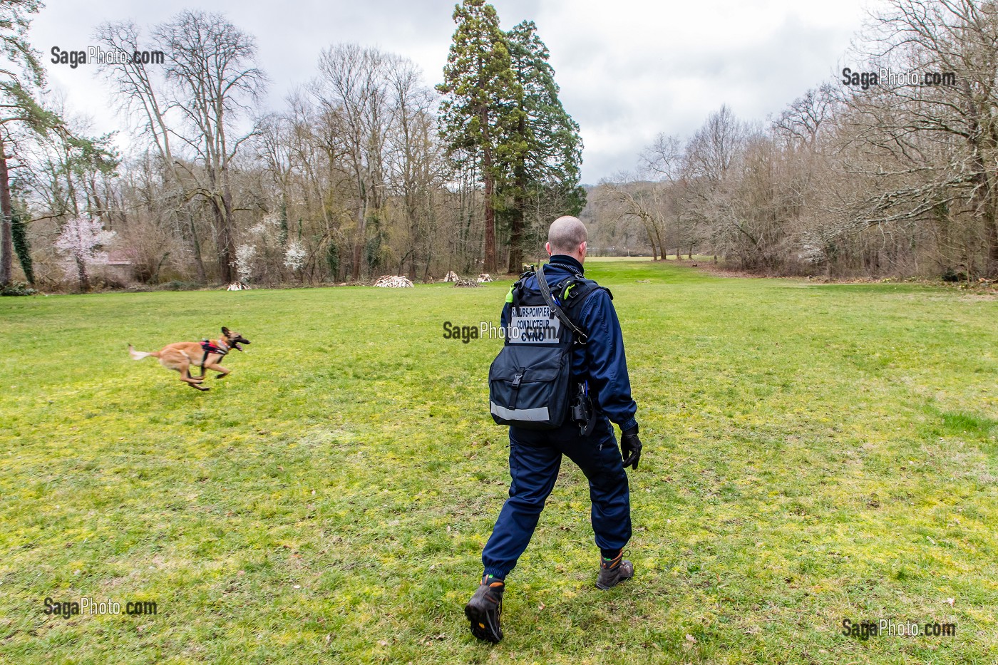 CONDUCTEUR CYNOTECHNIQUE ET SON CHIEN, BERGER BELGE MALINOIS, RECHERCHE DE PERSONNES EGAREES OU DISPARUES, SDIS 77, SEINE ET MARNE, ILE DE FRANCE 