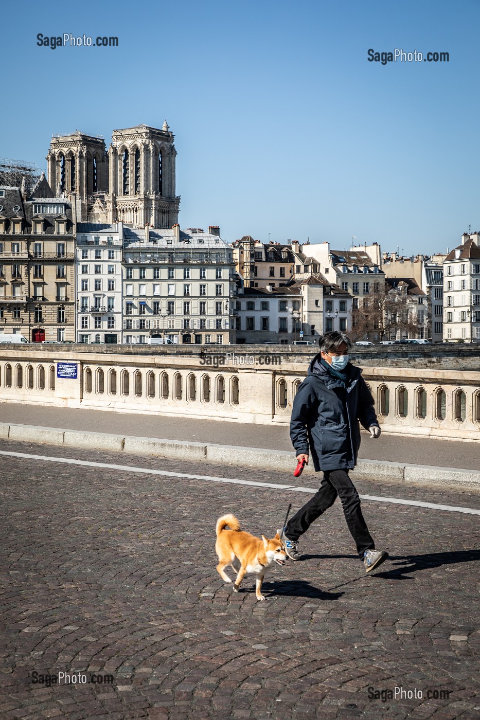 HOMME PROMENANT SON CHIEN AVEC UN MASQUE DEVANT NOTRE DAME ET L'ILE DE LA CITE, PONT LOUIS PHILIPPE, PARIS, 1ER ARRONDISSEMENT, ILE-DE-FRANCE  