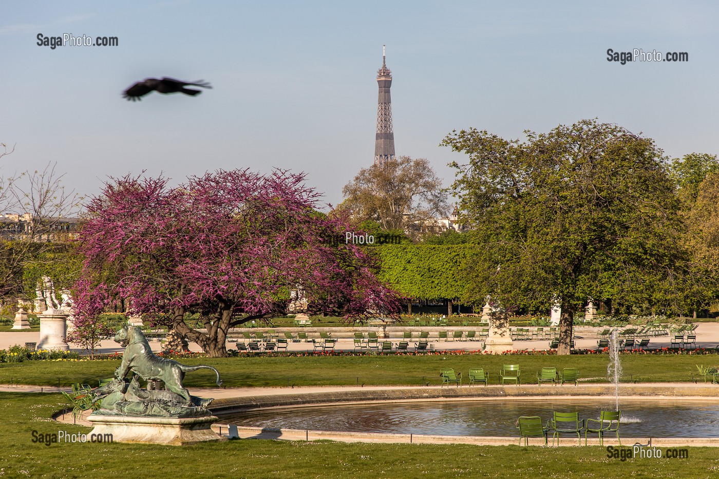 JARDIN DES TUILERIES, 1ER ARRONDISSEMENT, PARIS, FRANCE 