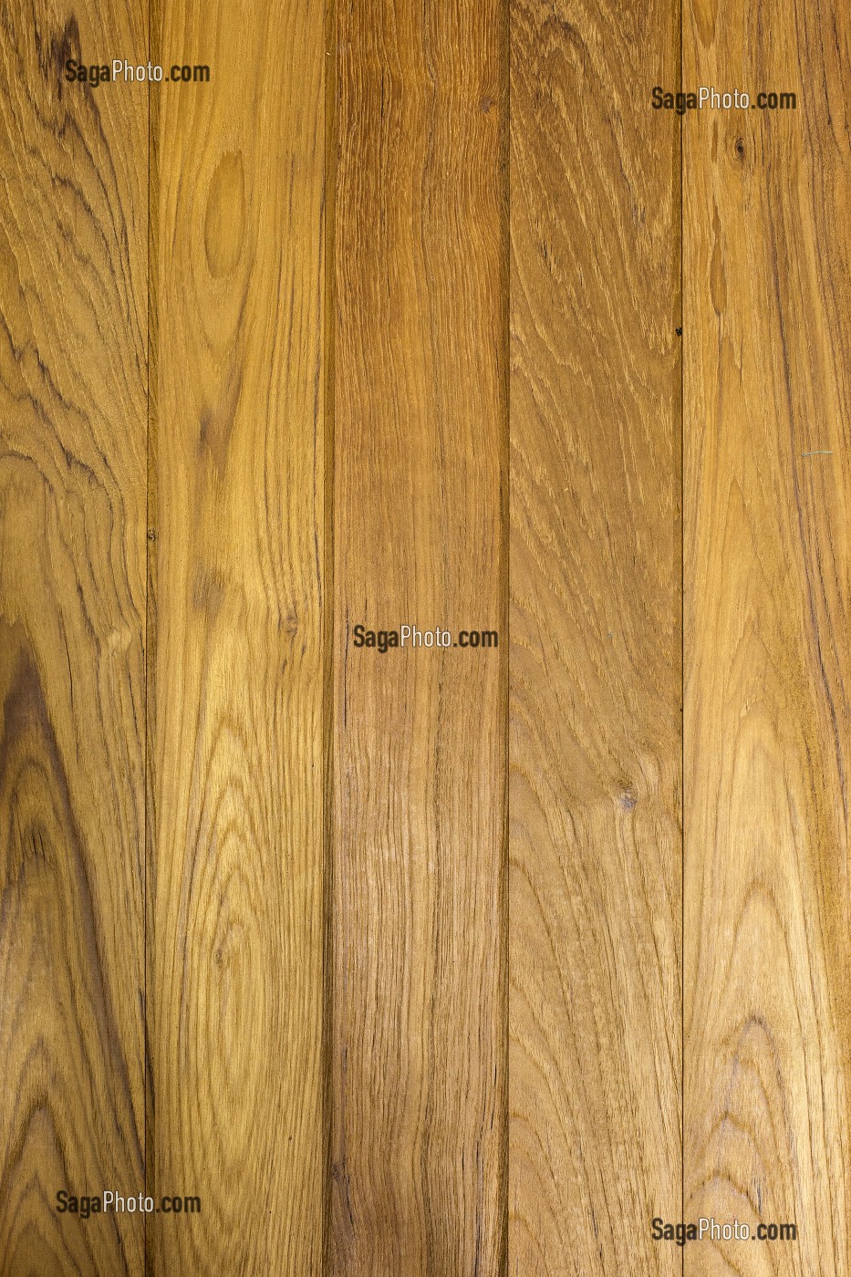 PARQUET EN CHENE, QUERCUS // OAK PARQUET, QUERCUS // OAK PARQUET, QUERCUS