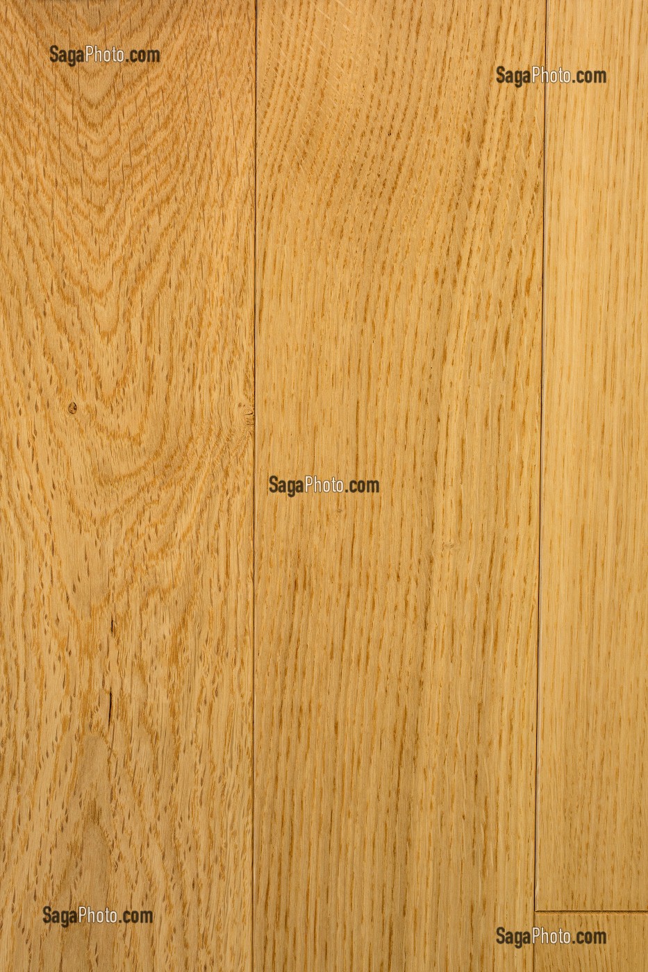 PARQUET EN CHENE, QUERCUS 