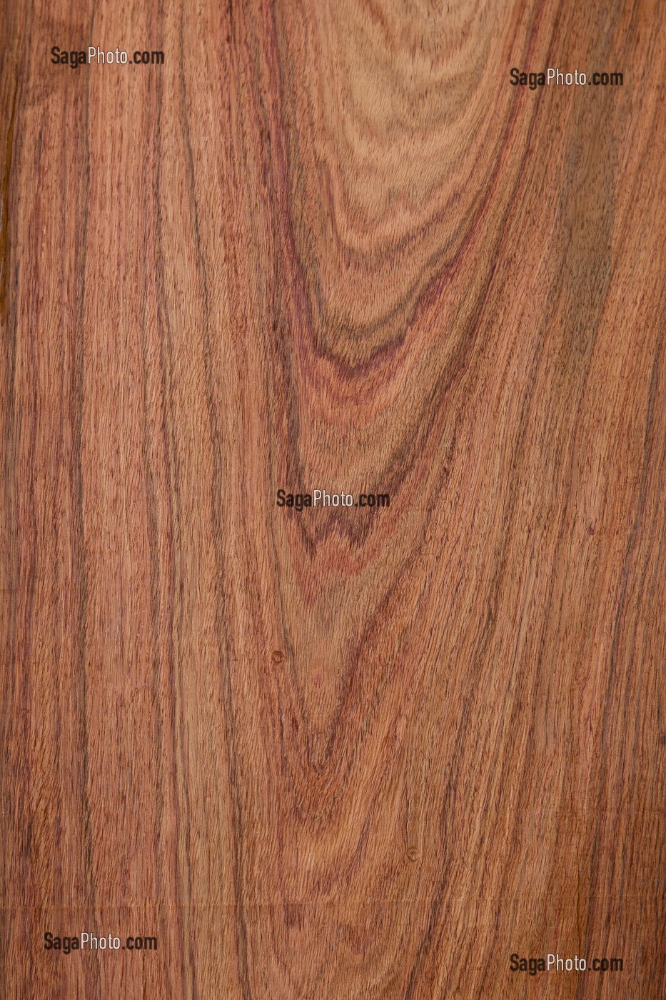 PALLISSANDRE DE MADAGASCAR, DALBERGIA SPP 