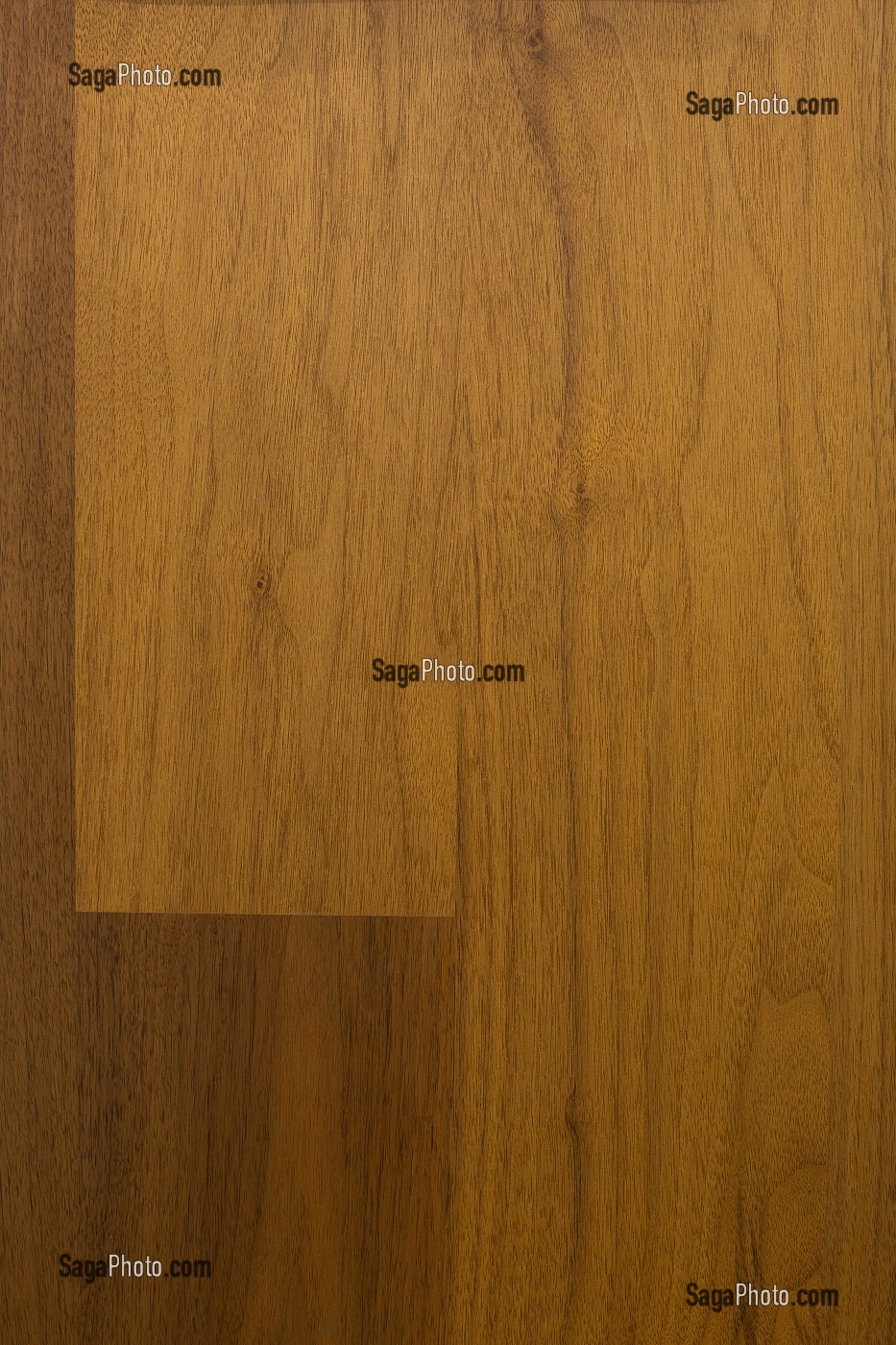 NOYER PARQUET, JUGLANS REGIA 