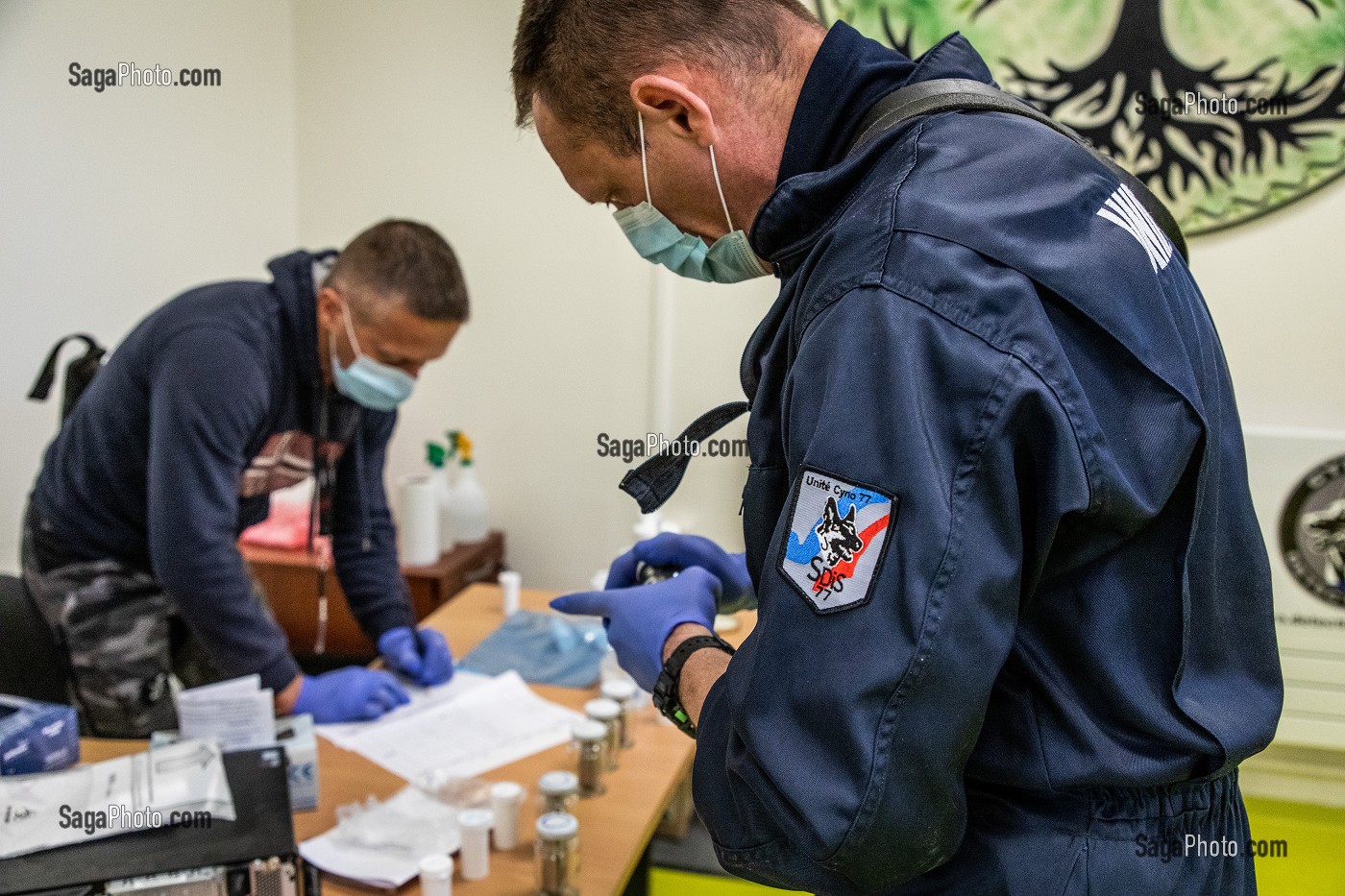 EXPERIMENTATION SUR LA DETECTION DU COVID 19 PAR DES CHIENS SAPEURS POMPIERS  ECOLE VETERINAIRE, MAISONS-ALFORT, VAL DE MARNE, ILE DE FRANCE, FRANCE, EUROPE 