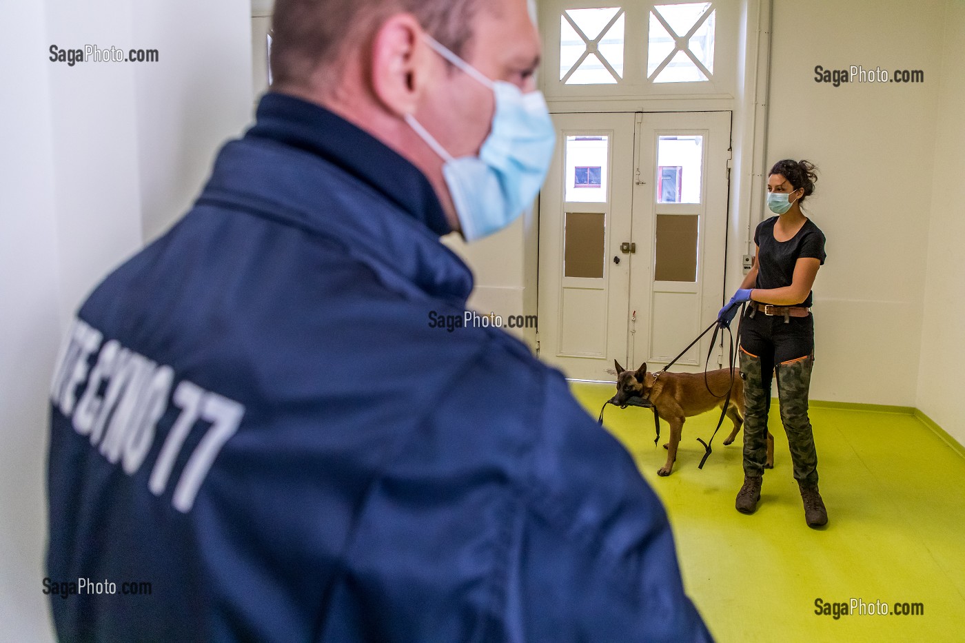 EXPERIMENTATION SUR LA DETECTION DU COVID 19 PAR DES CHIENS SAPEURS POMPIERS  ECOLE VETERINAIRE, MAISONS-ALFORT, VAL DE MARNE, ILE DE FRANCE, FRANCE, EUROPE 